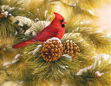 8th Annual Cardinal Tree Memorial Service Saturday December 9, 2023